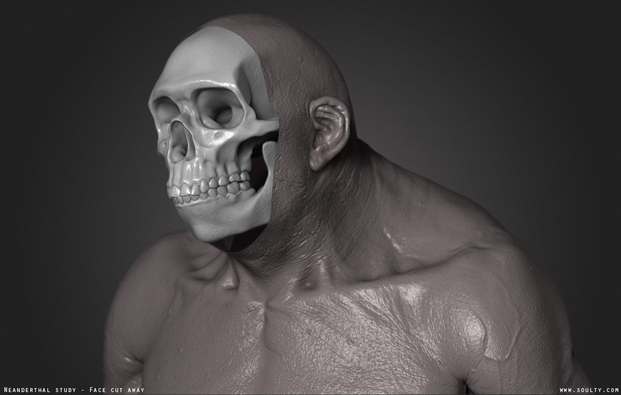Face-cut-away_Adam-Sacco.jpg
