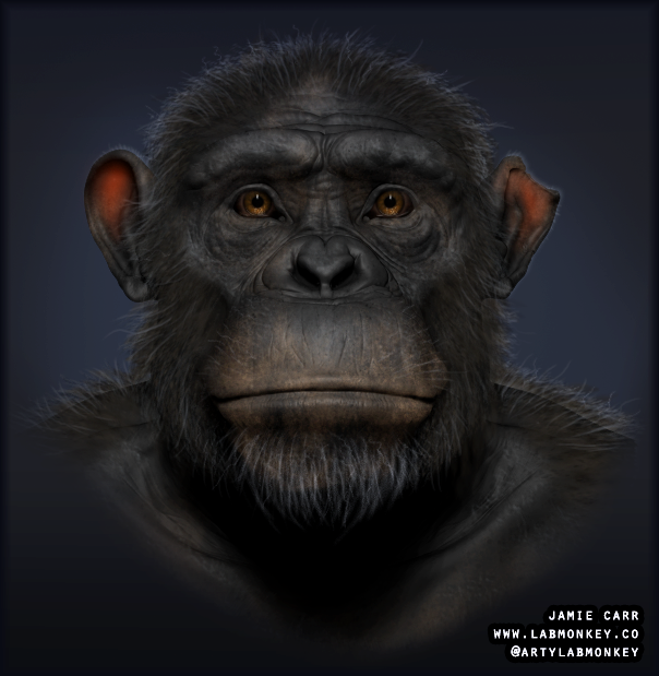 apepaintover1.png