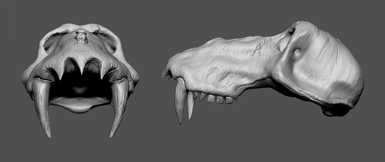 Zbrush_Otho.jpg