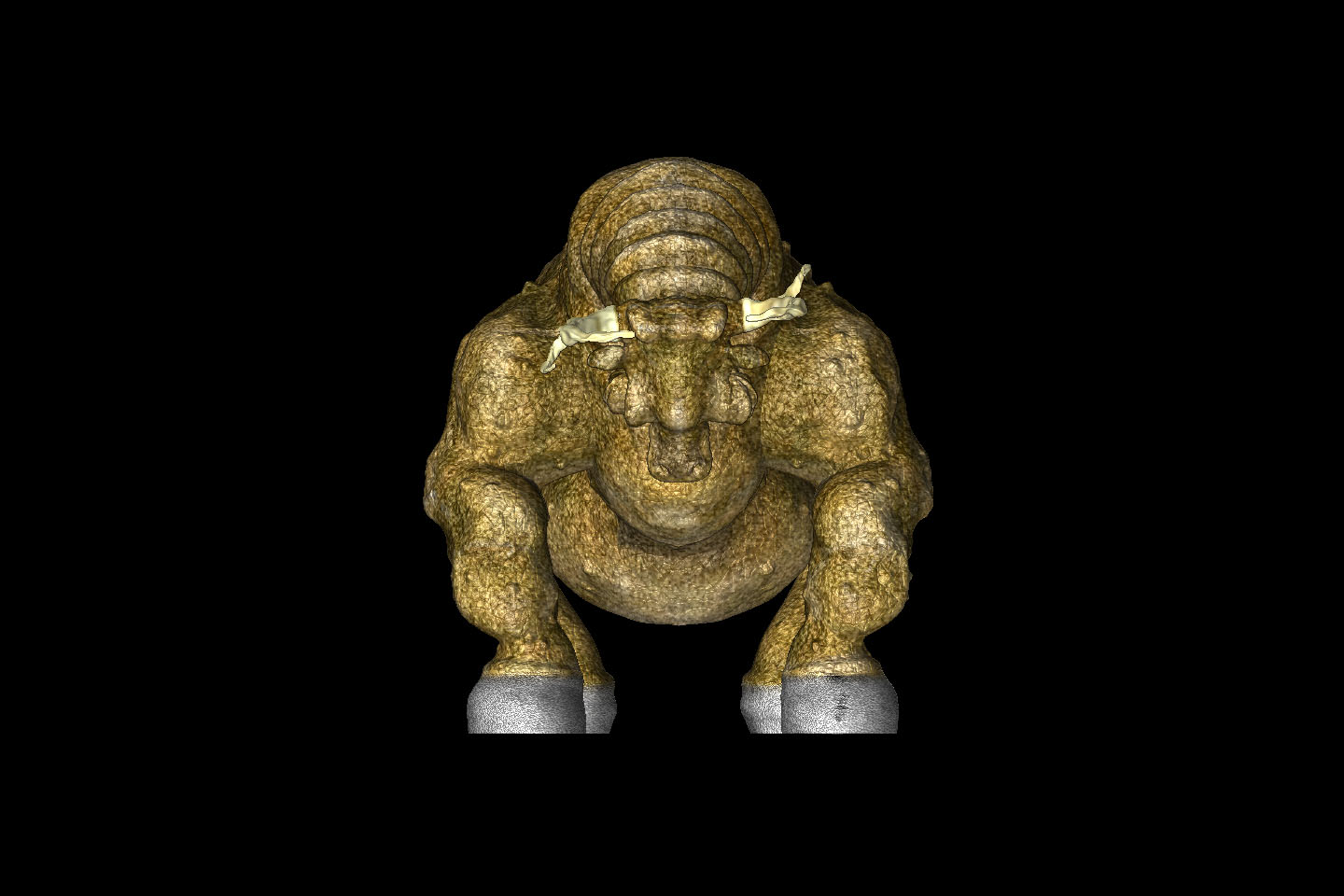bullon_front.jpg