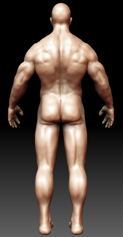 back.jpg