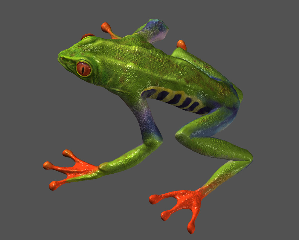 frog_c.jpg