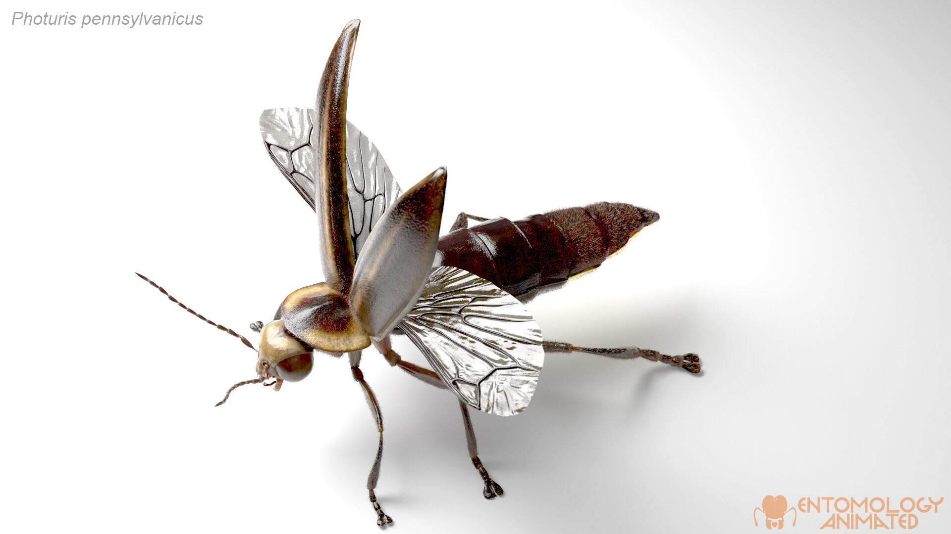 eric-keller-model-render-04