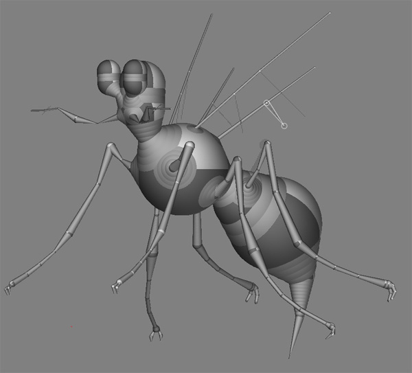 insect2.jpg