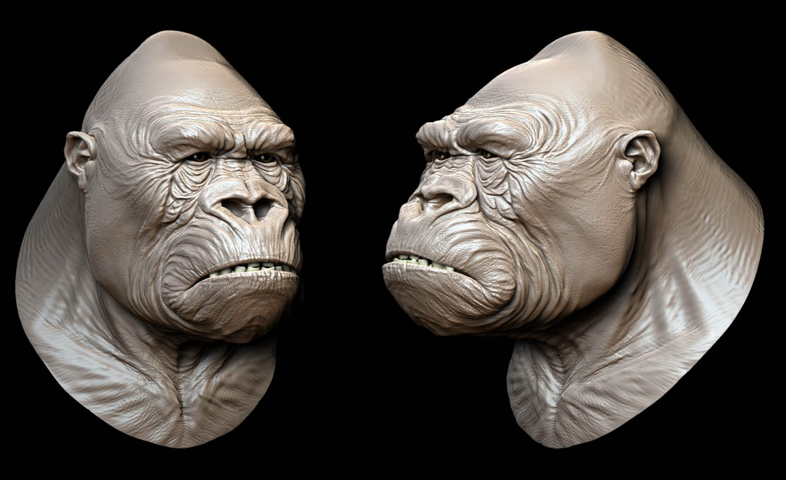 ape.jpg