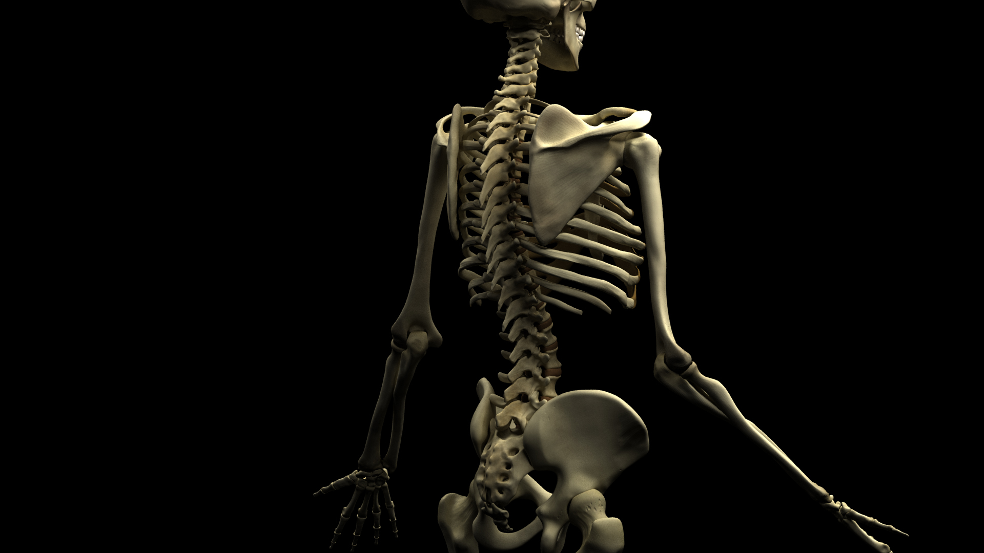 Spine_CloseUp.jpg