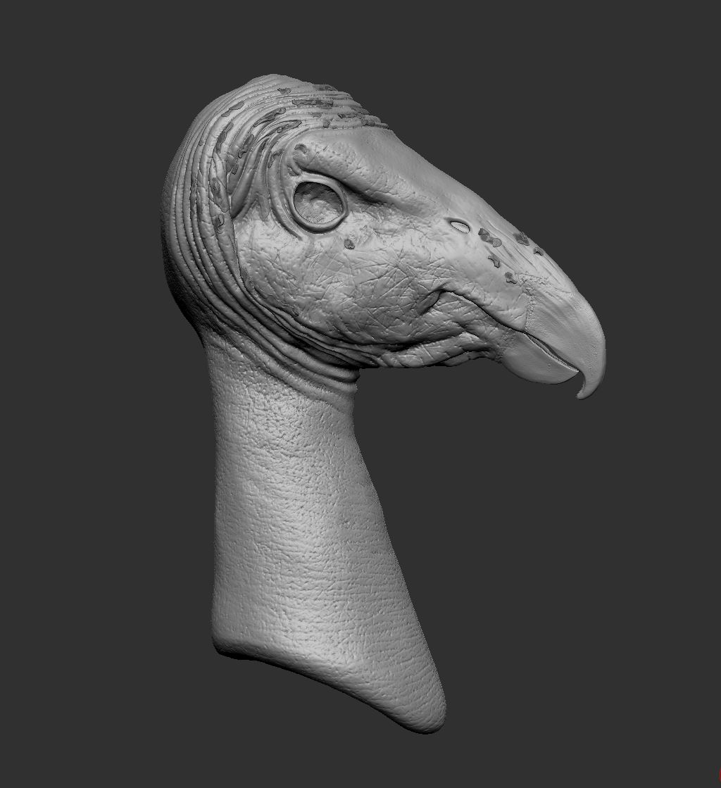 zbrush_viewport