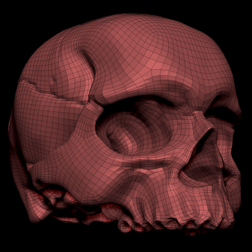 Skull%20Topo