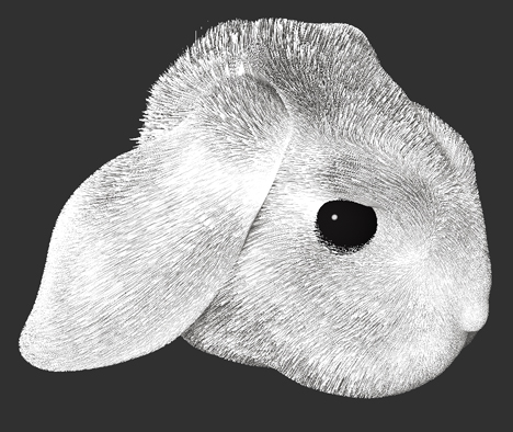bunn.jpg