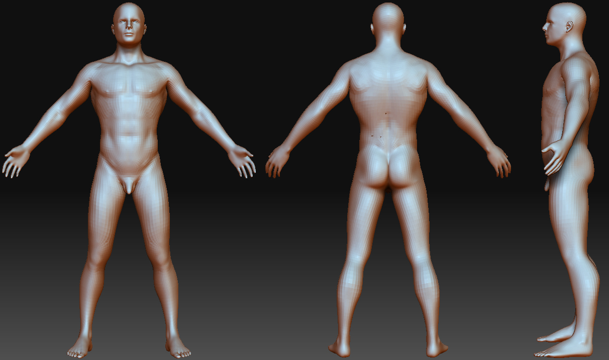 male_body.jpg