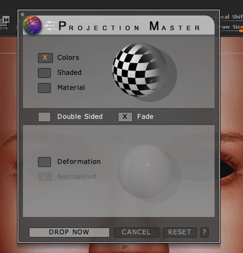 Projection_master_setting_4.gif