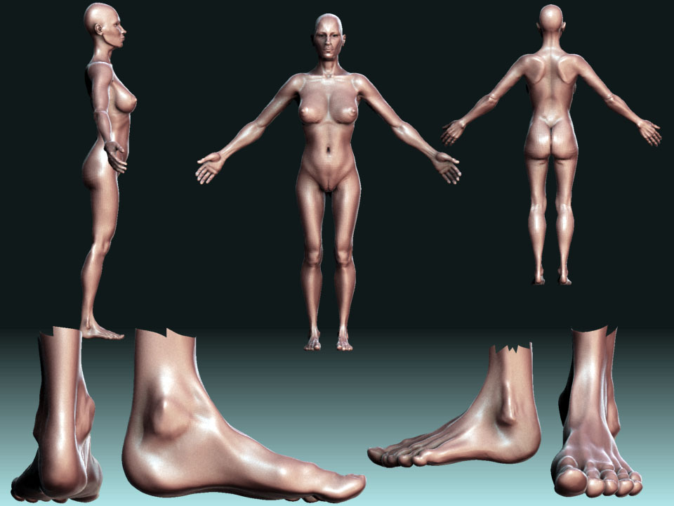 womancompleteupdate.jpg