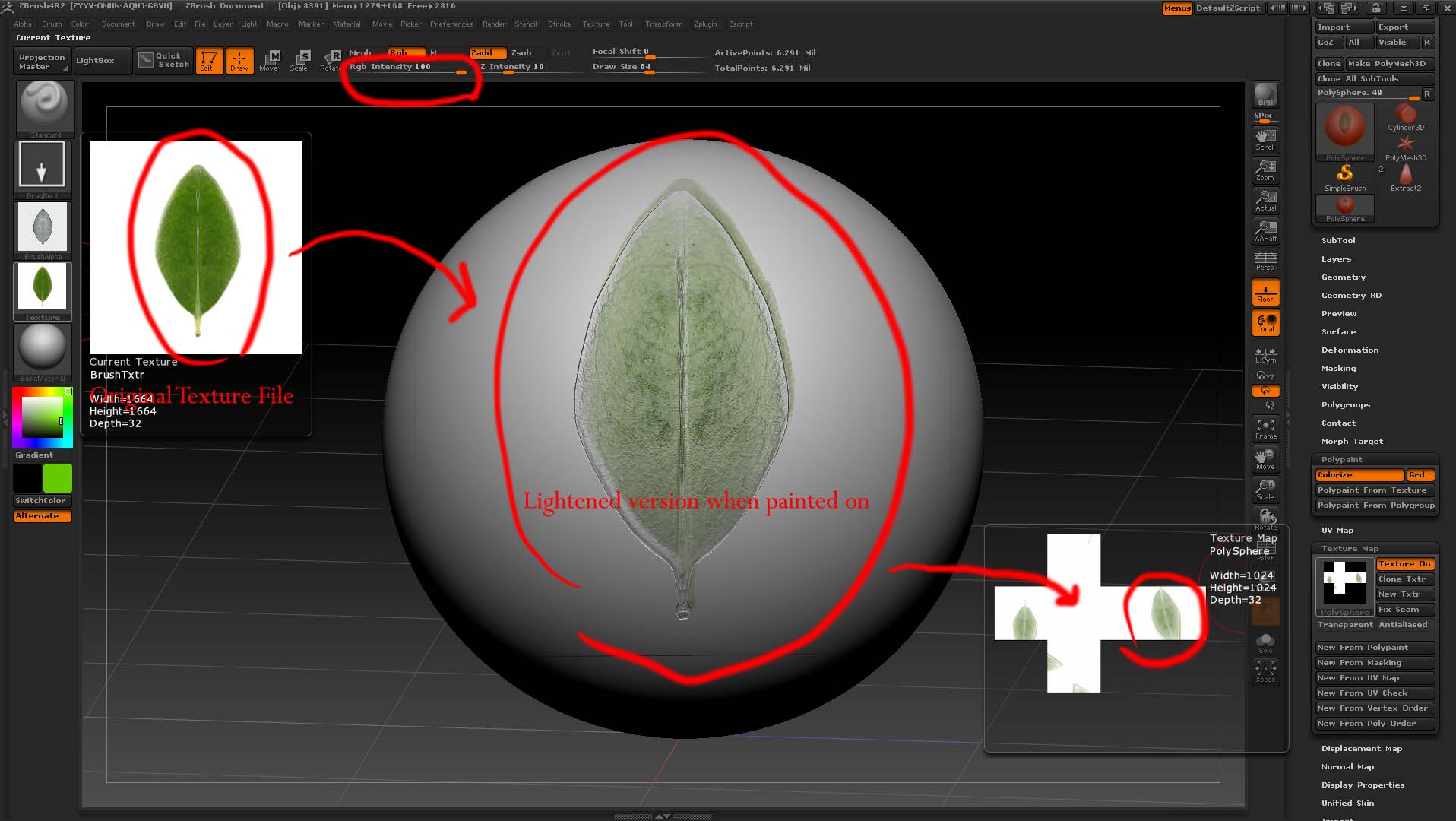ZBrush Issue.jpg