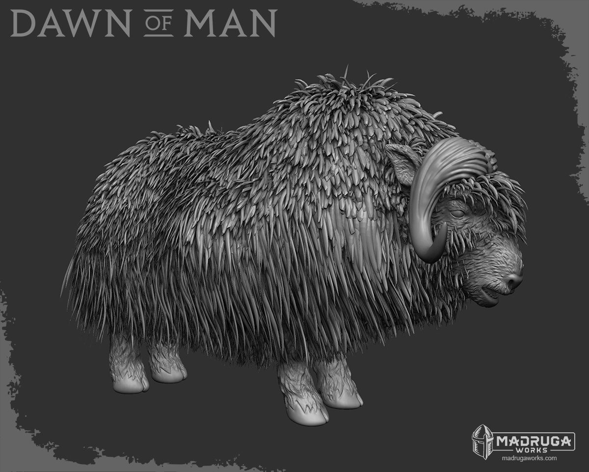 muskox_zb