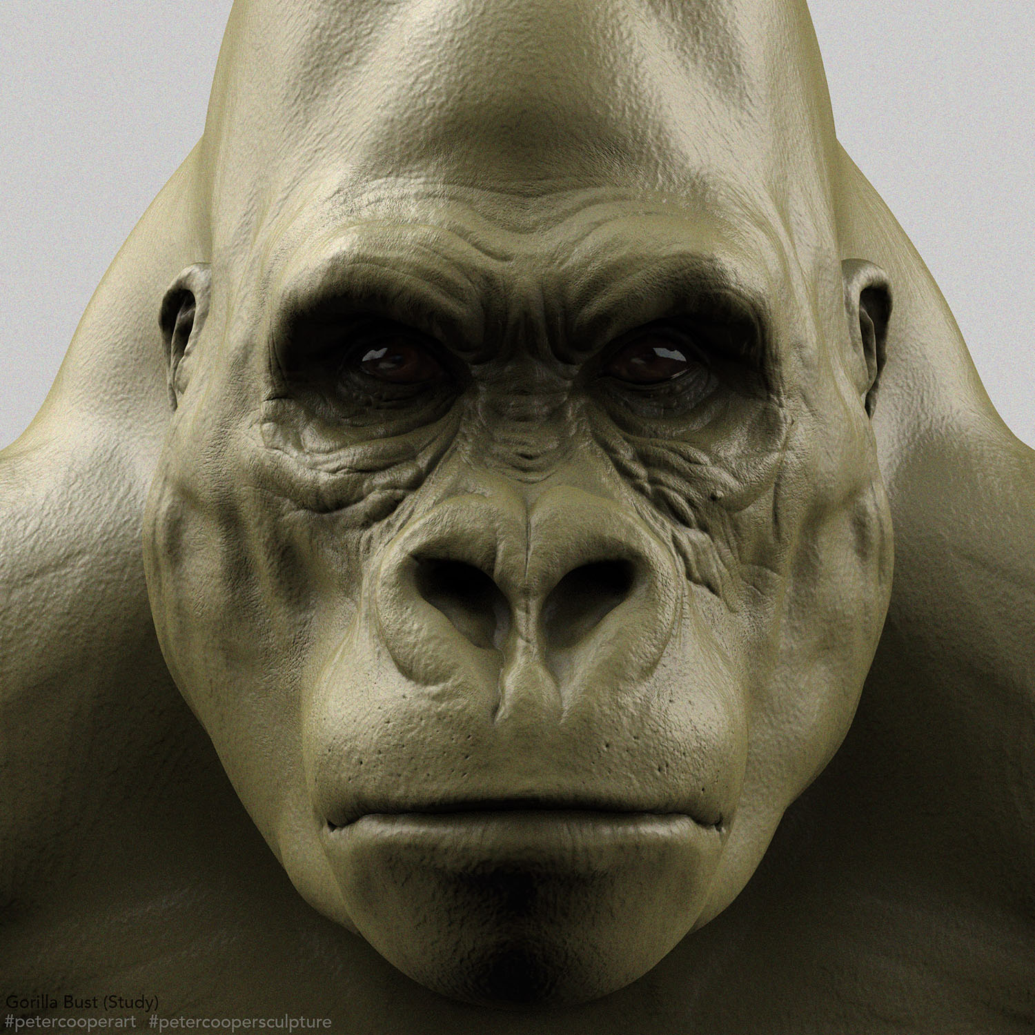 ZBC_04_Gorilla_FRONT_Green.jpg