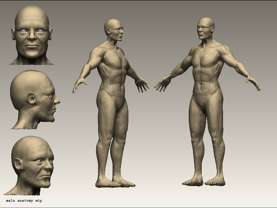 wip2.jpg