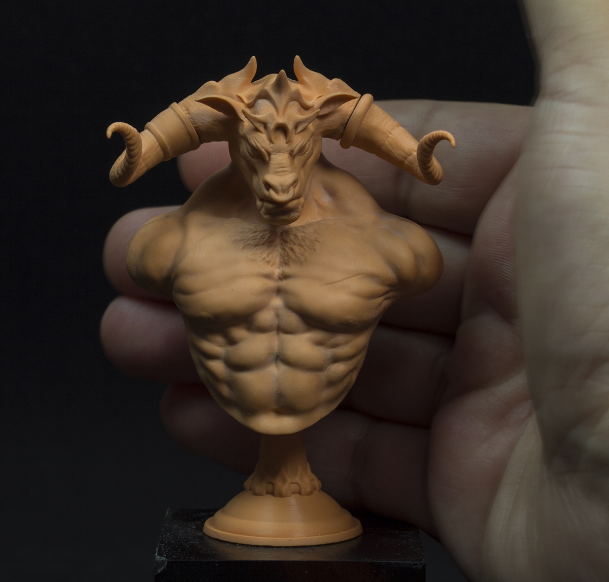 Bust%20Mino%20print-1