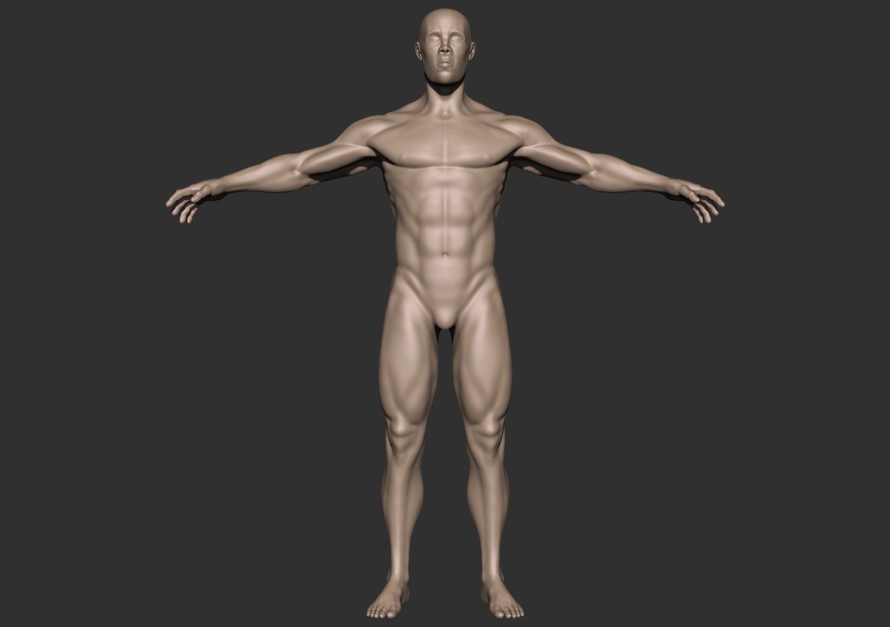 bodybuilder_front.jpg