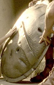 shieldks6.jpg