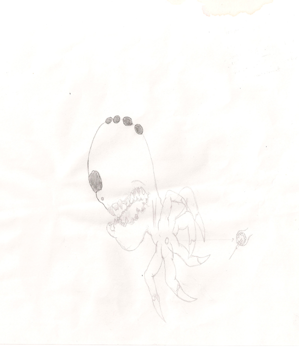 wddf.jpg