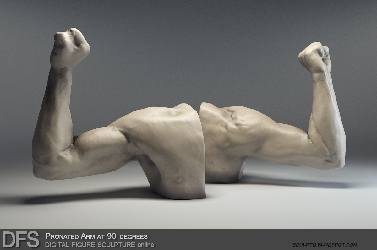 DFS Arm Pronated 90.jpg