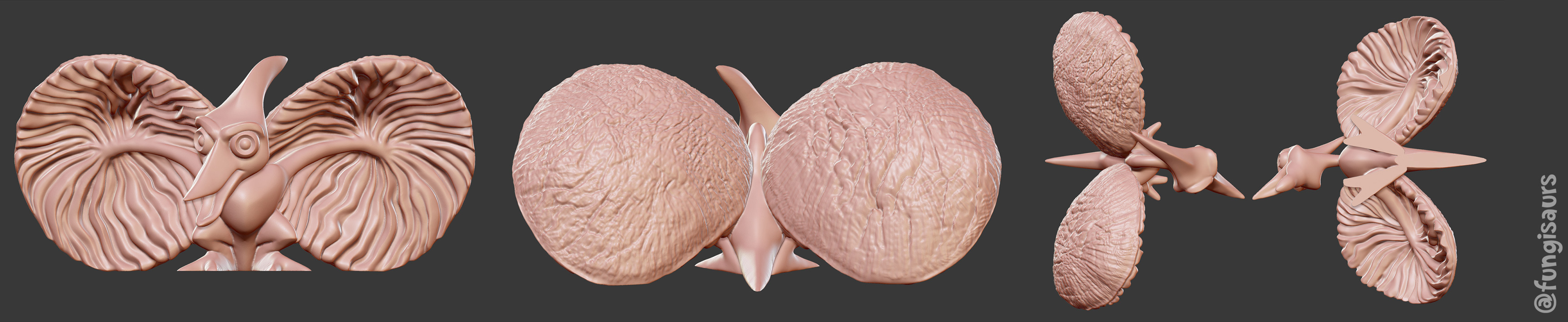 Pterocap_Clay.jpg
