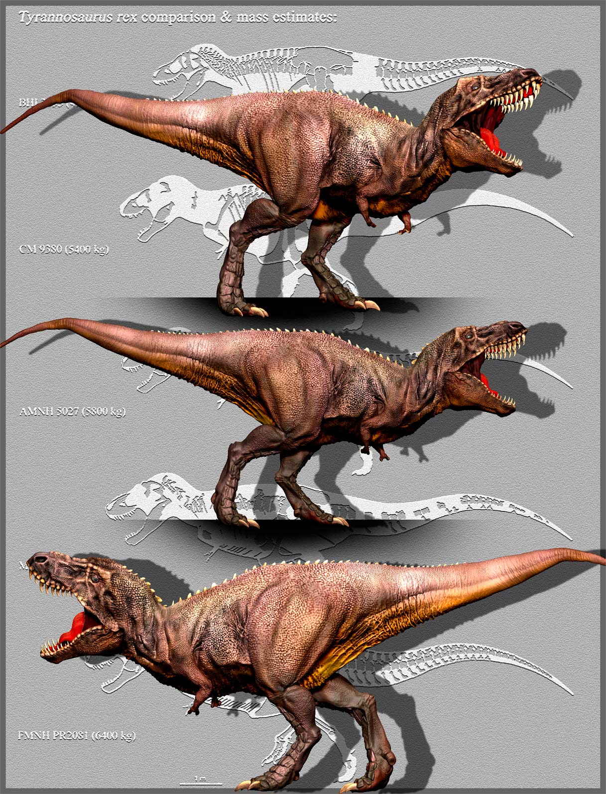 1_TRex.jpg