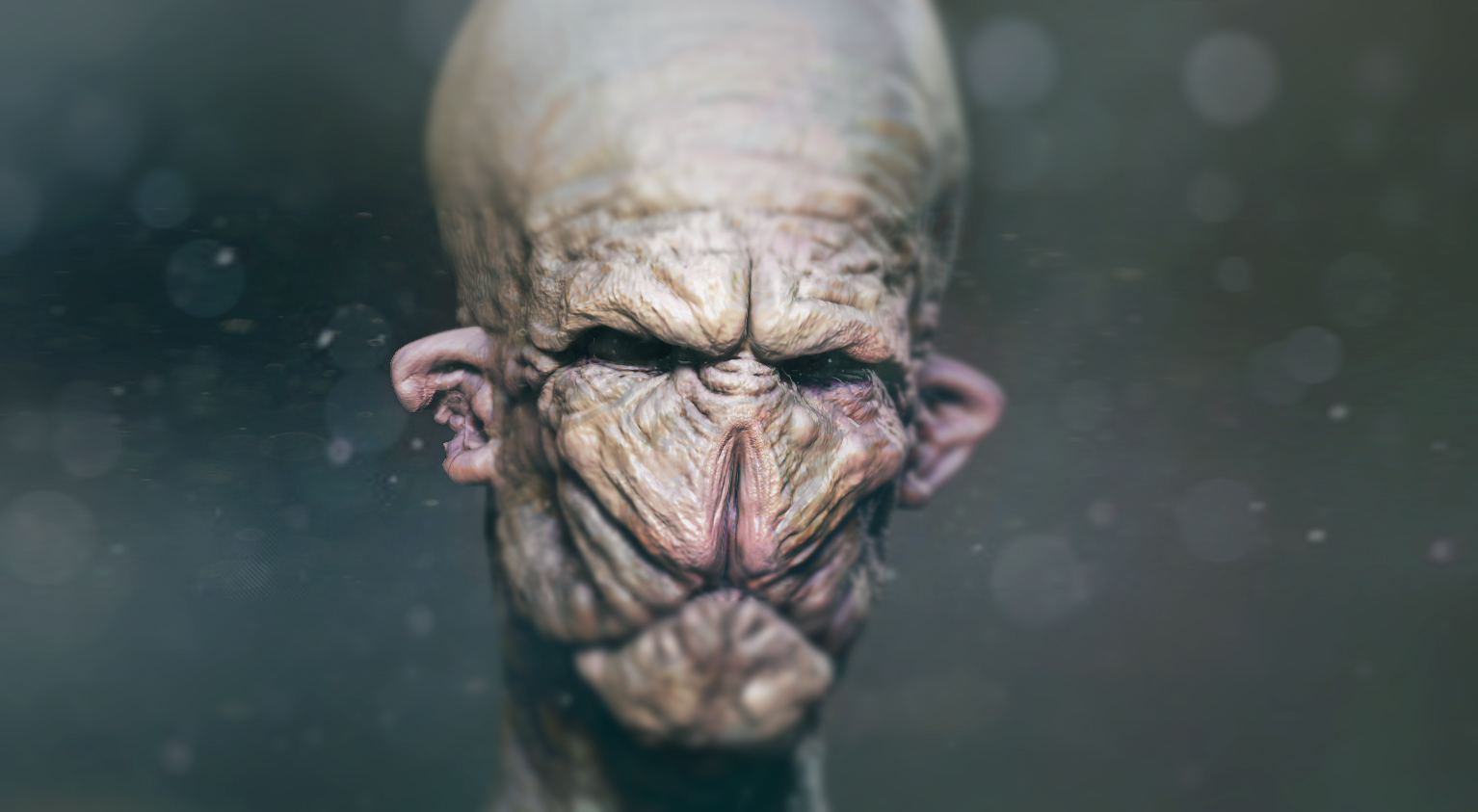 vagmouth.jpg