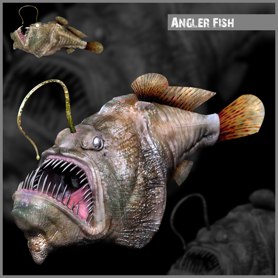 abissal_JPG.jpg