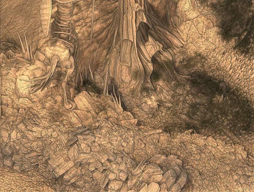 micro_textura_quijoteC2.JPG
