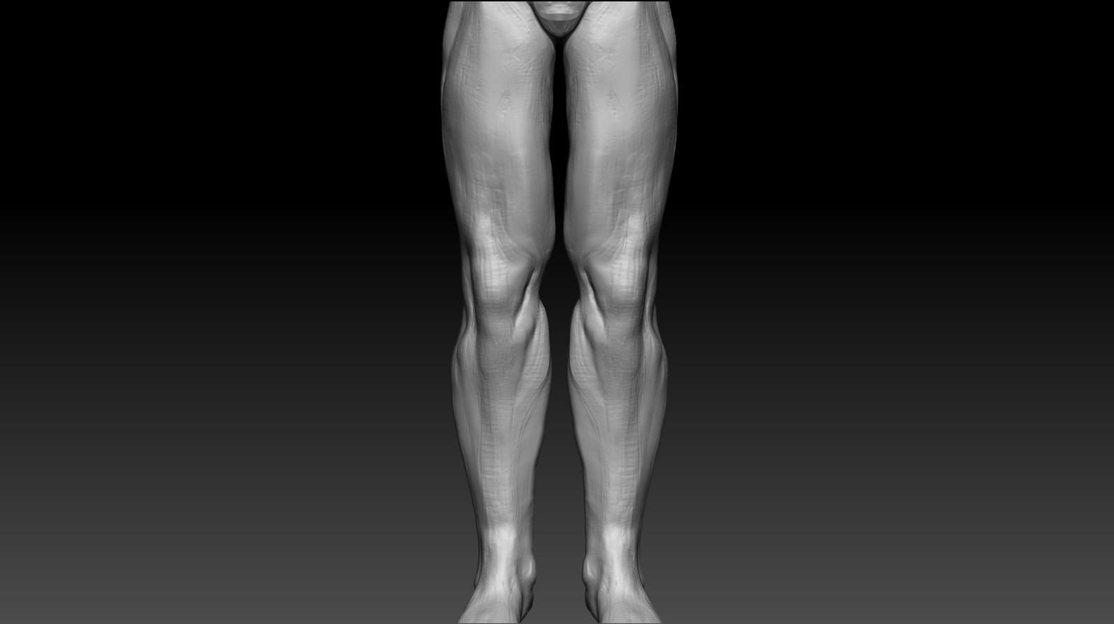 LegsFrontDetail.jpg