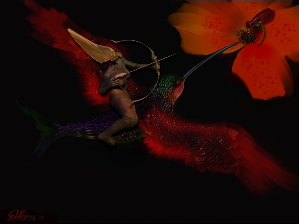 HUMMING BIRD1.jpg