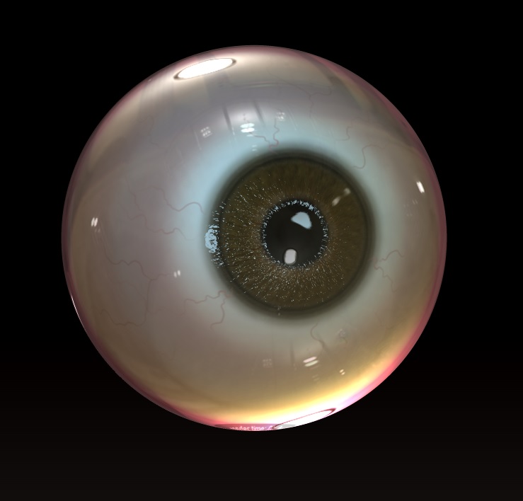 EyeballTestRender2.jpg
