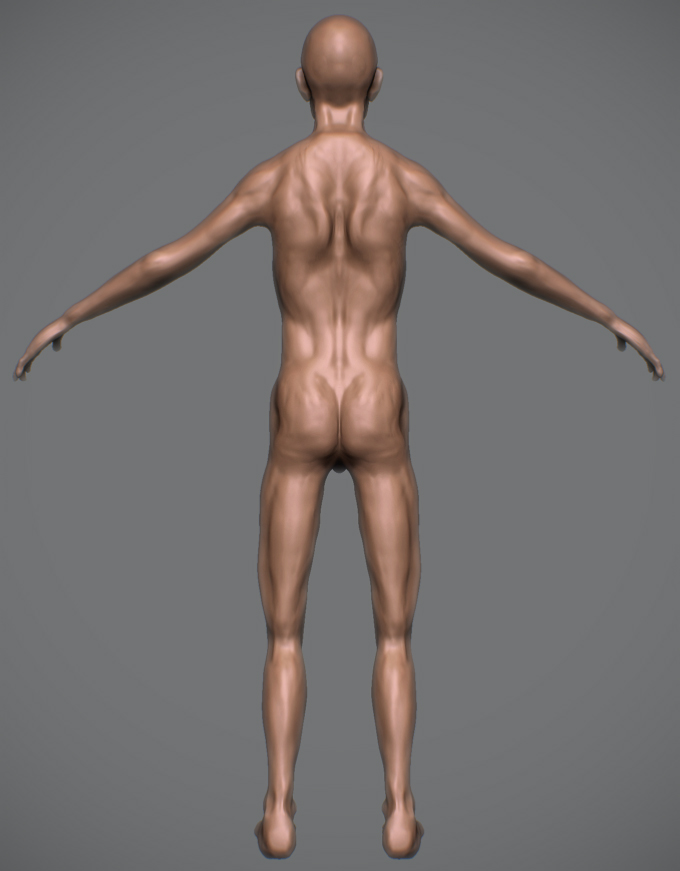 back.jpg