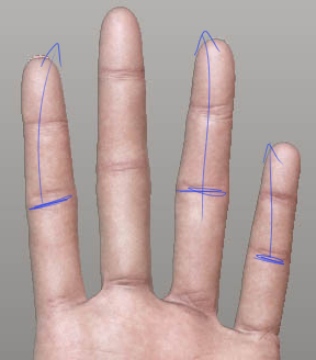 hand_zbrushViewport_fingersBend.jpg