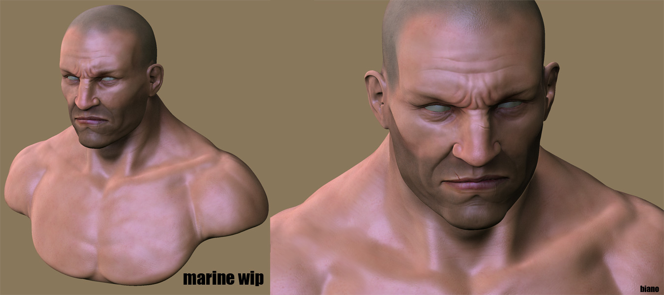 marine-wip-2.jpg