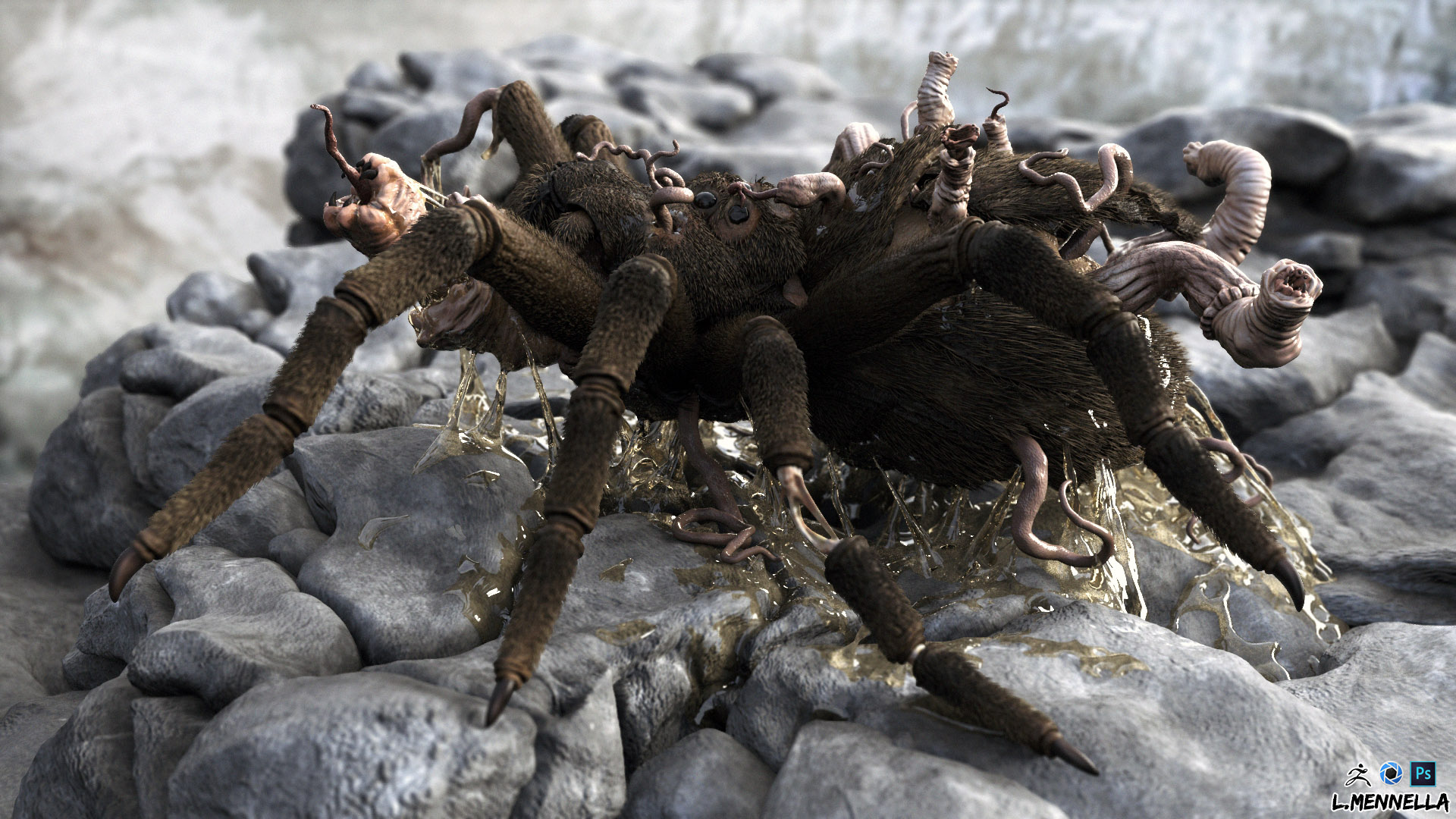 Spider final 1.jpg