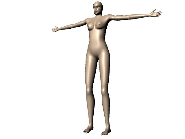 fem.jpg
