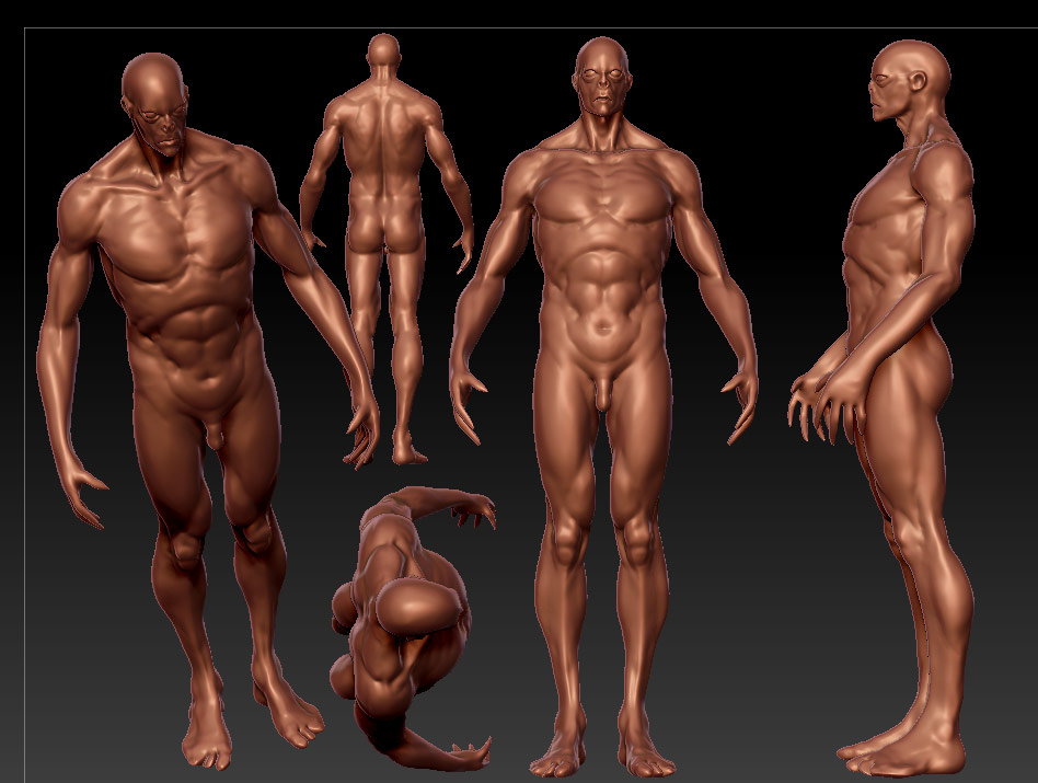 building_up_muscles_groups04.jpg