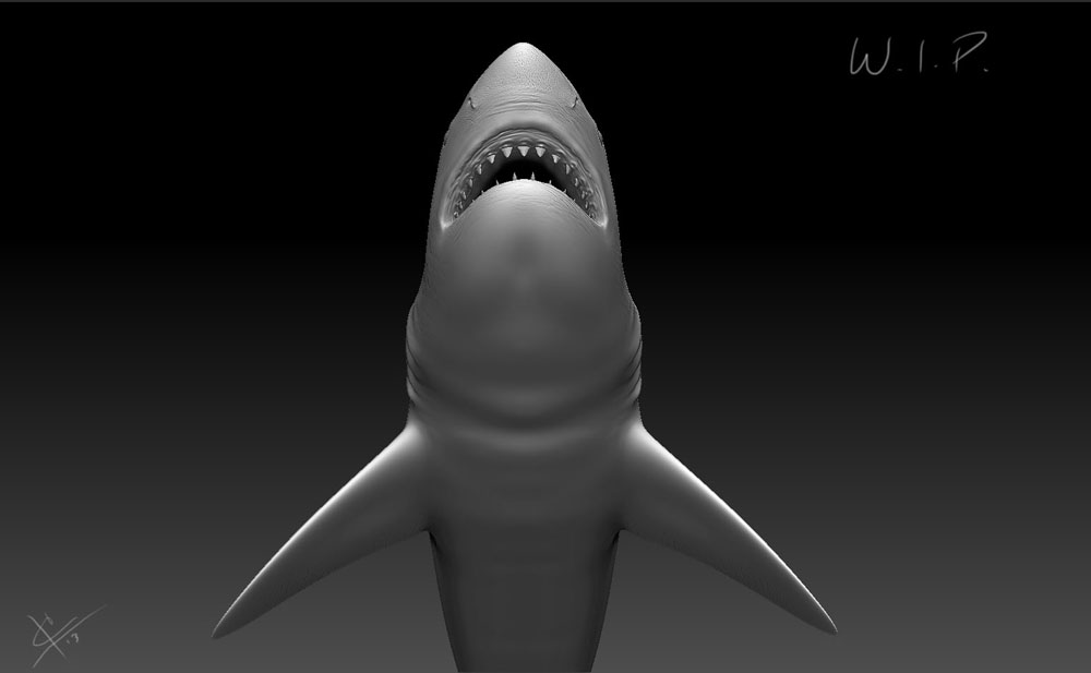 shark_zbrush_01_down.jpg