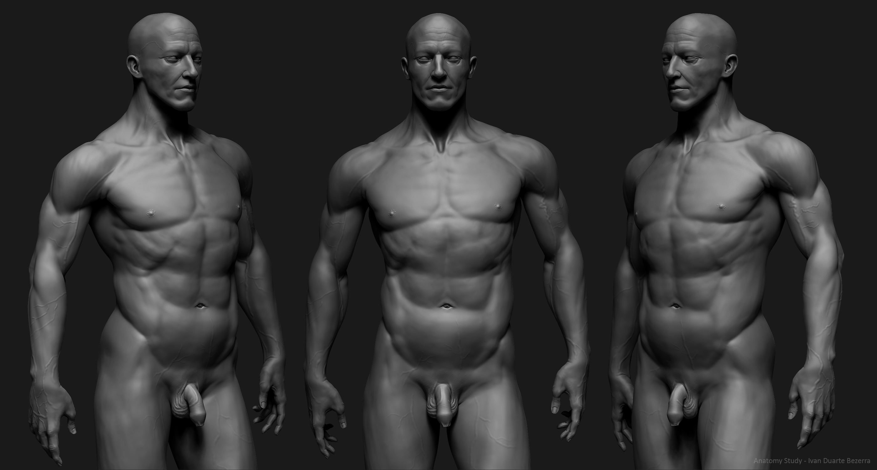 2 Full Body Anatomy Study Close.jpg