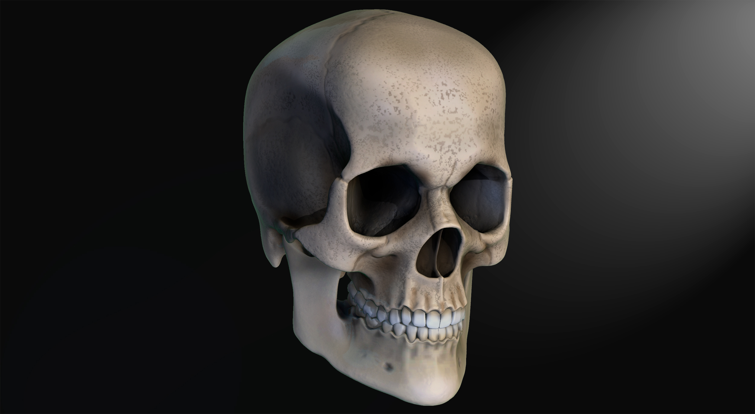Craneo_render_compo.jpg