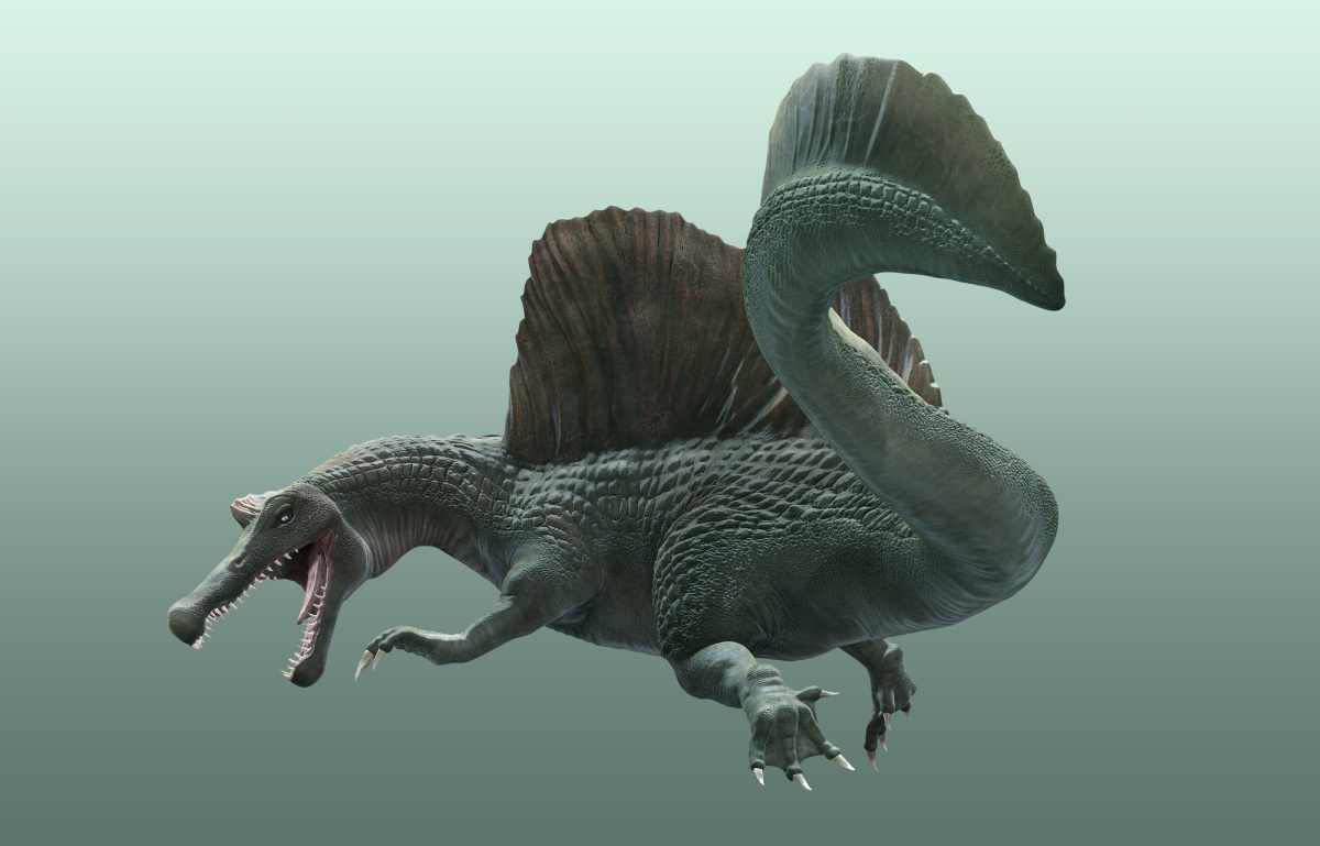 spinosaurus_A_s