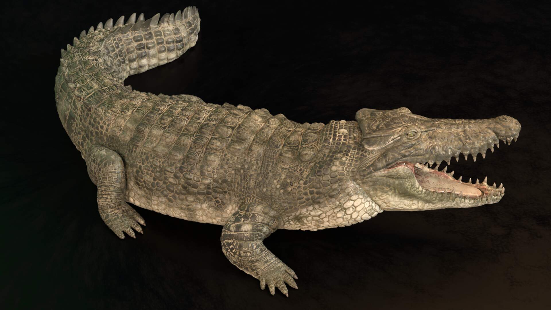 crocodile_context_signature_0011