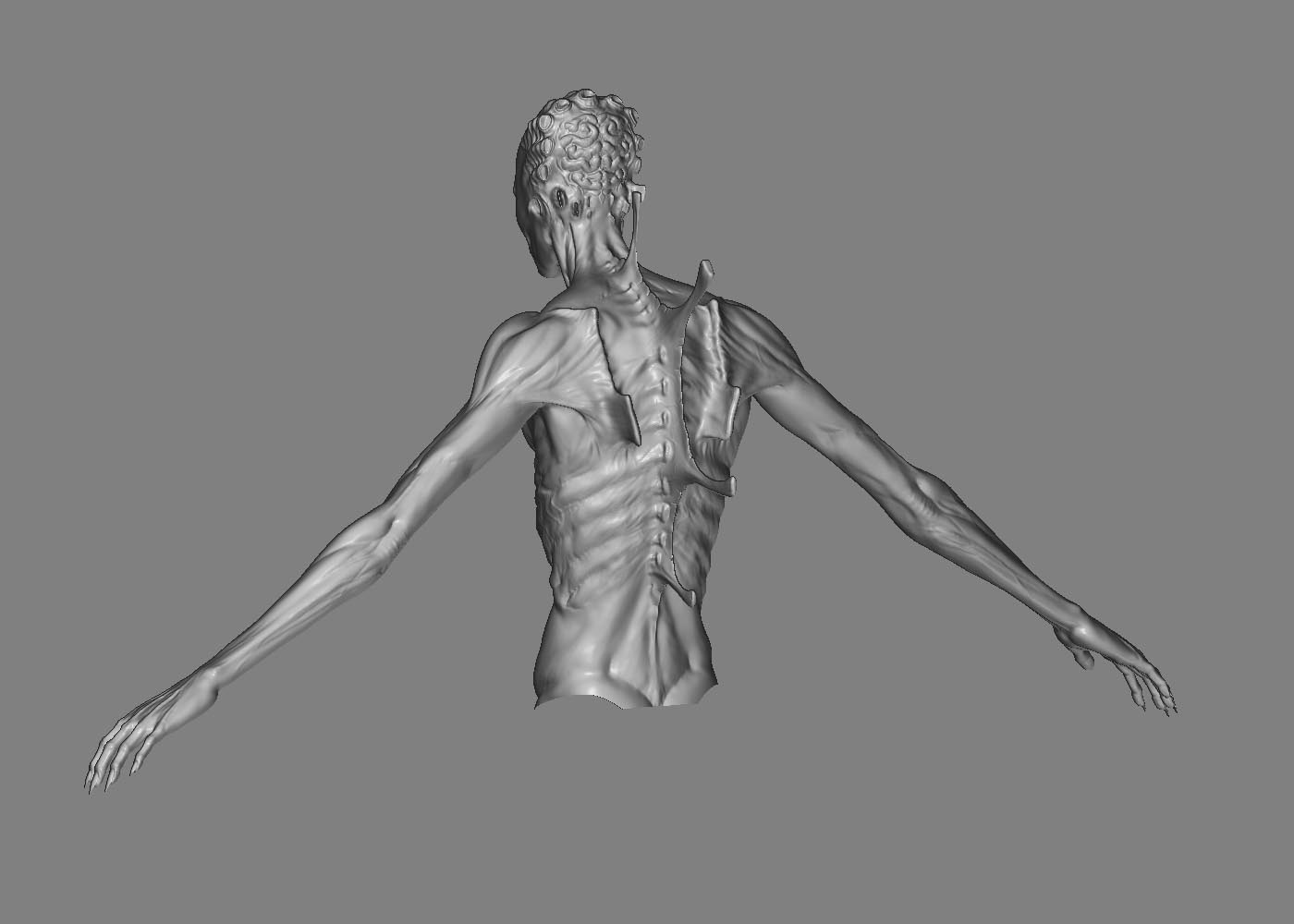 zbrushback.jpg