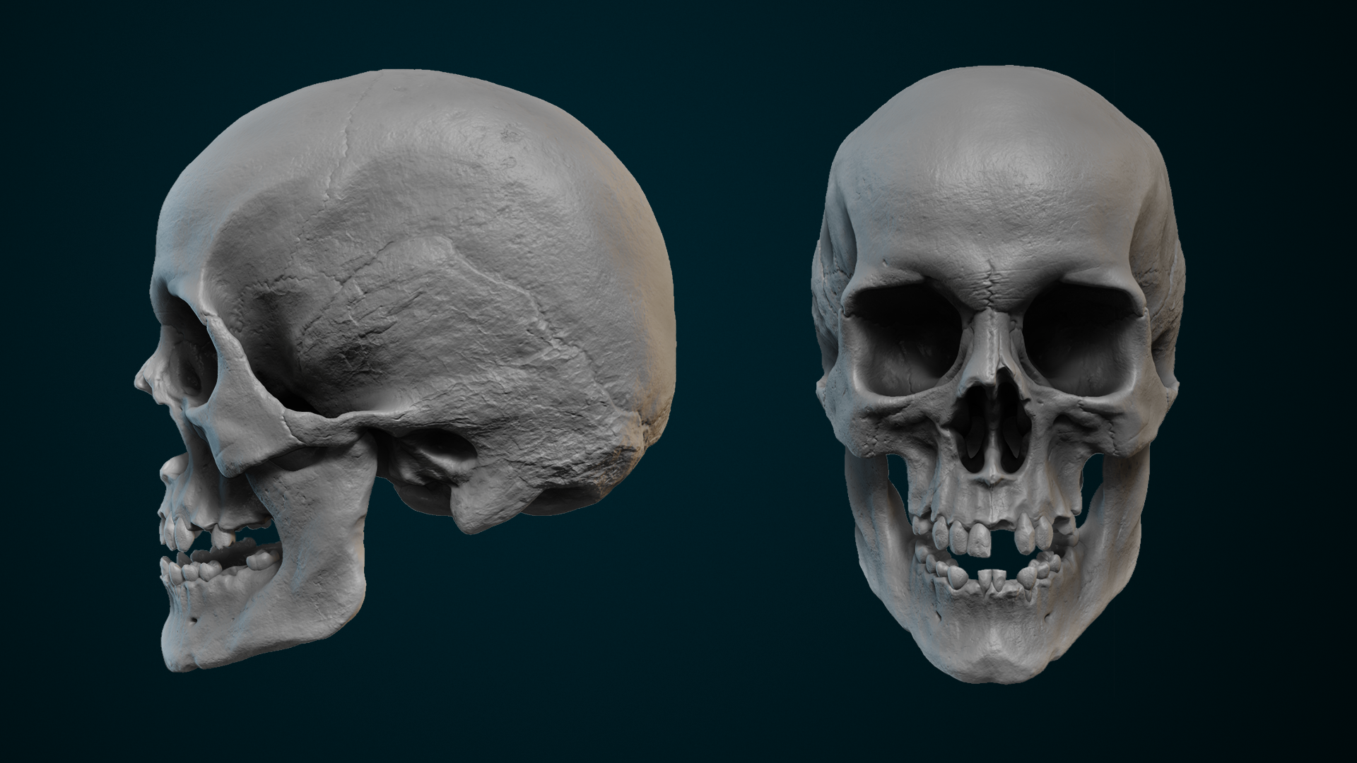 Skull_HP_01