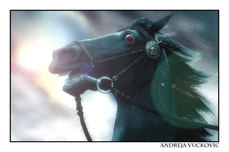 horseFinal_AndrejaVuckovic.jpg