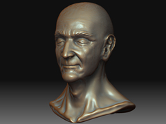 Brozne head1.jpg