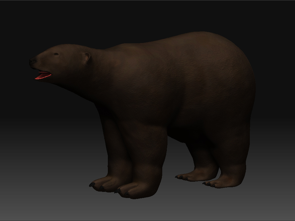 Bear 1.jpg