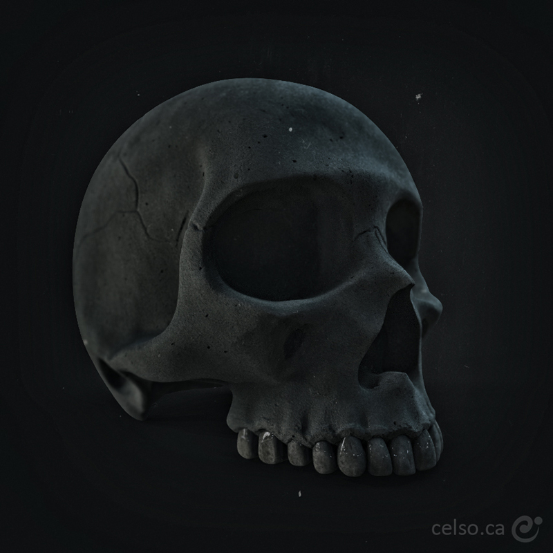 0004_skull.jpg